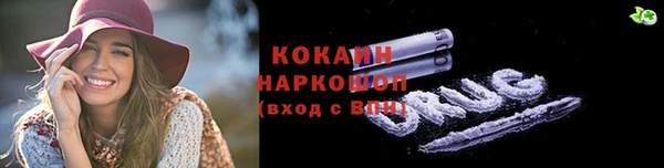стаф Алзамай