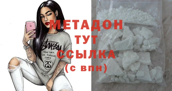 стаф Алзамай