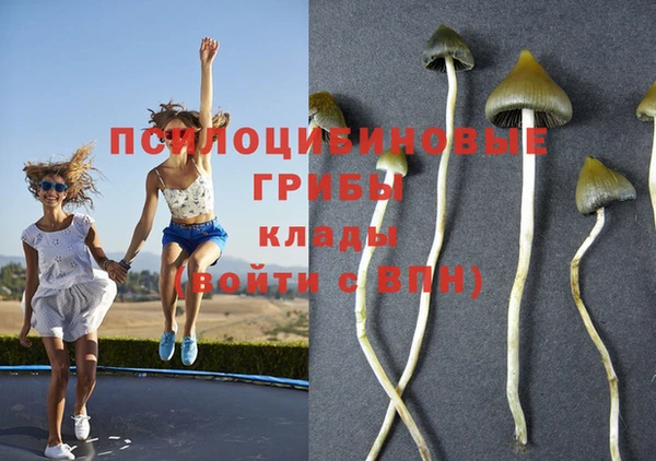 гашиш Алексеевка