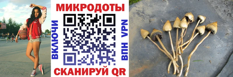 гидра ONION  где купить   Сыктывкар  Галлюциногенные грибы мухоморы 